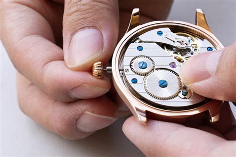 watch making kits for adults